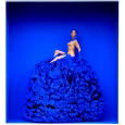 The Model of Yves Klein